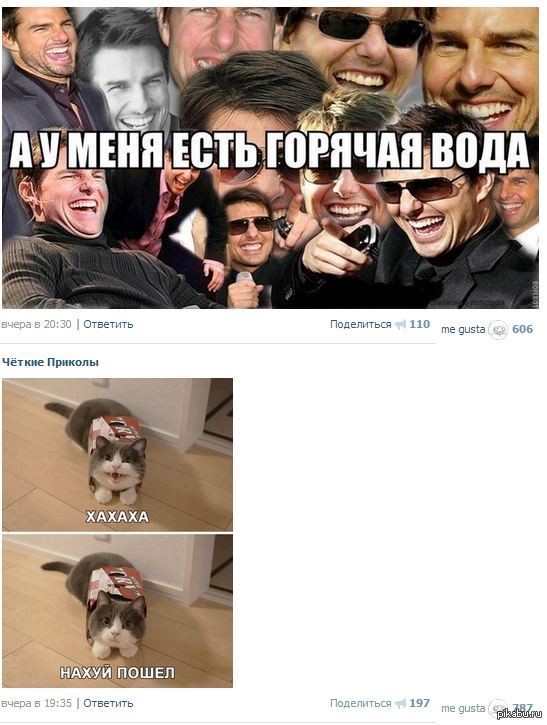 ׸���� ����������, ��� ���� ������� �� ����������