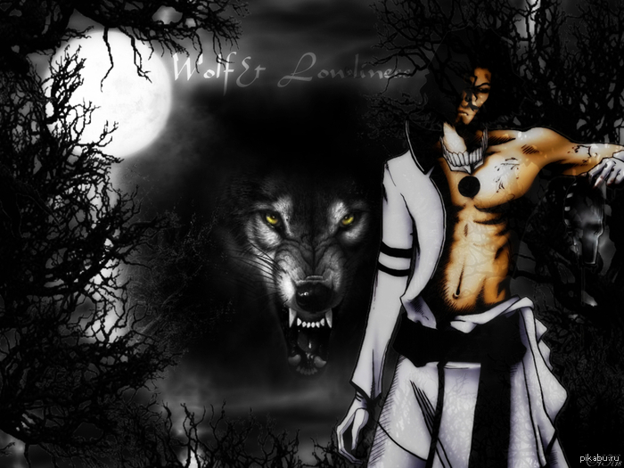 ���� �����