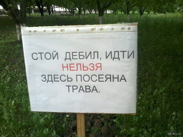 Нельзя пошло. Дебильные картинки с надписями. Надпись дебил. Смешные надписи про тупых.