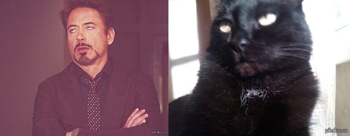 �������� 100 %