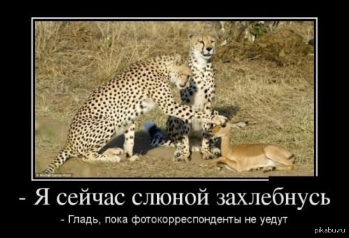 �����, ���� �� �����