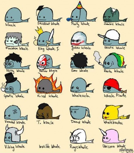Выбери своего кита | Пикабу