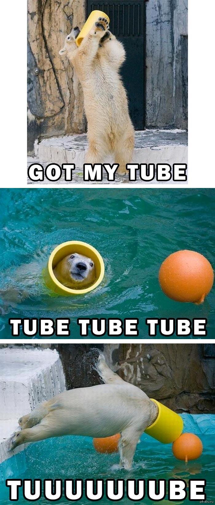 Series Of Tubes Meme