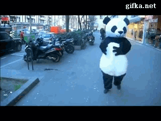 Panda - psychic - Panda, Psychics, GIF, The fall