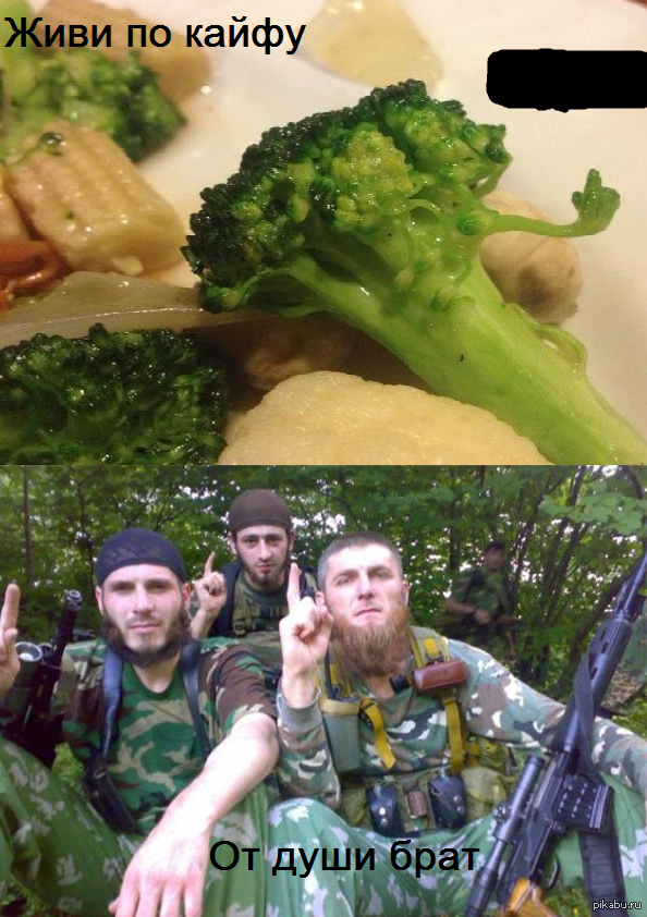 Немного юмора в честь сданного мною зачета )))