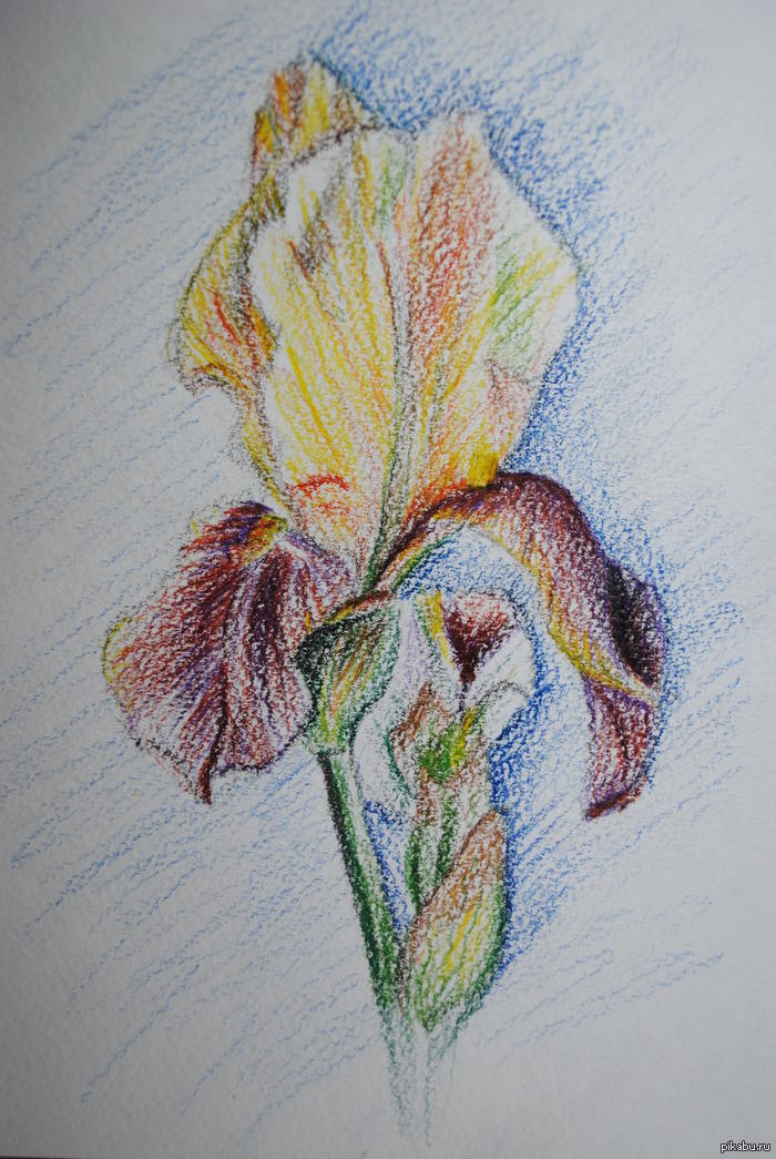    ( 7)       ,      )))