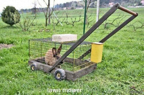 Lawn mower - Rabbit, Lawn, Mow