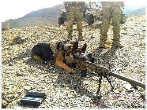 "Это какая зараза по городу отраву раскидывает? А нука иди сюда.."