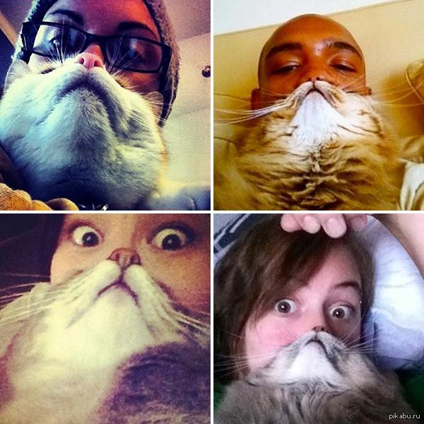 ���� �����..