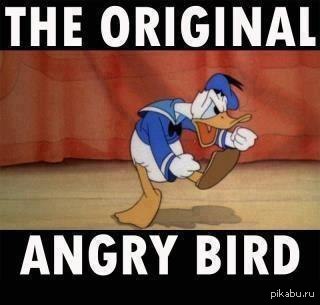 настоящий Энгри Бёрд!
