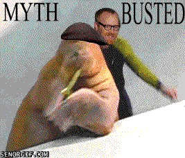   Myth busters... 