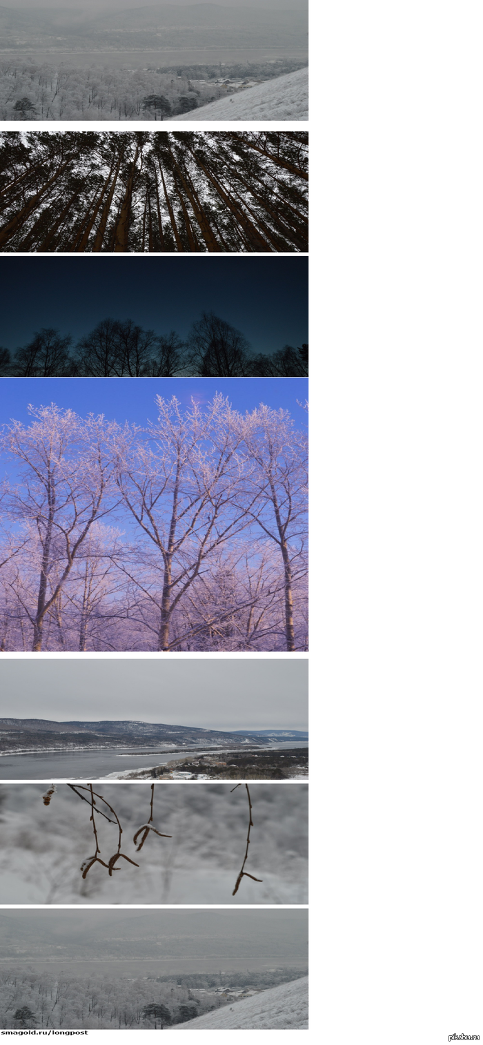 Академгородок(Красноярск) мой дом родной