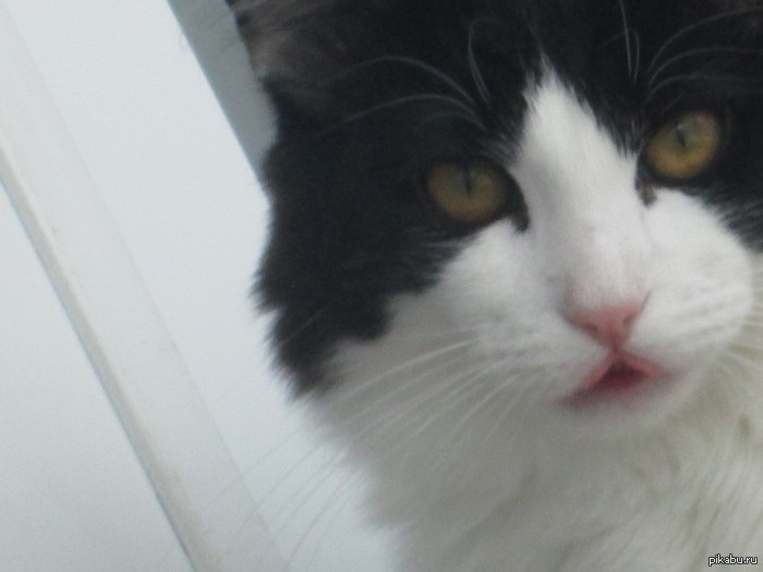 �� ����� ����� ���� ���������� �������� ���