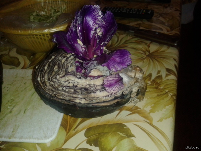 �� �������� ������� ������� ������� �����)