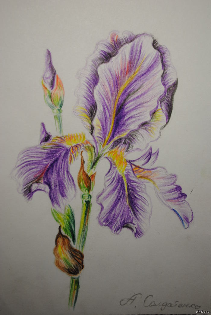 ������� ������ ����� (����� 9). �� ��������, ������)