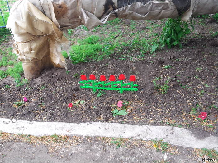 Фотографировал в родной школе последний звонок и наткнулся на это чудо)