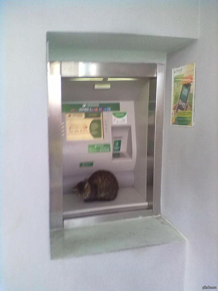 ����� ������ �� ���������.