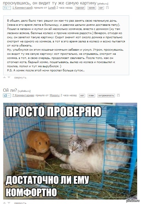 �� ������ ��������)