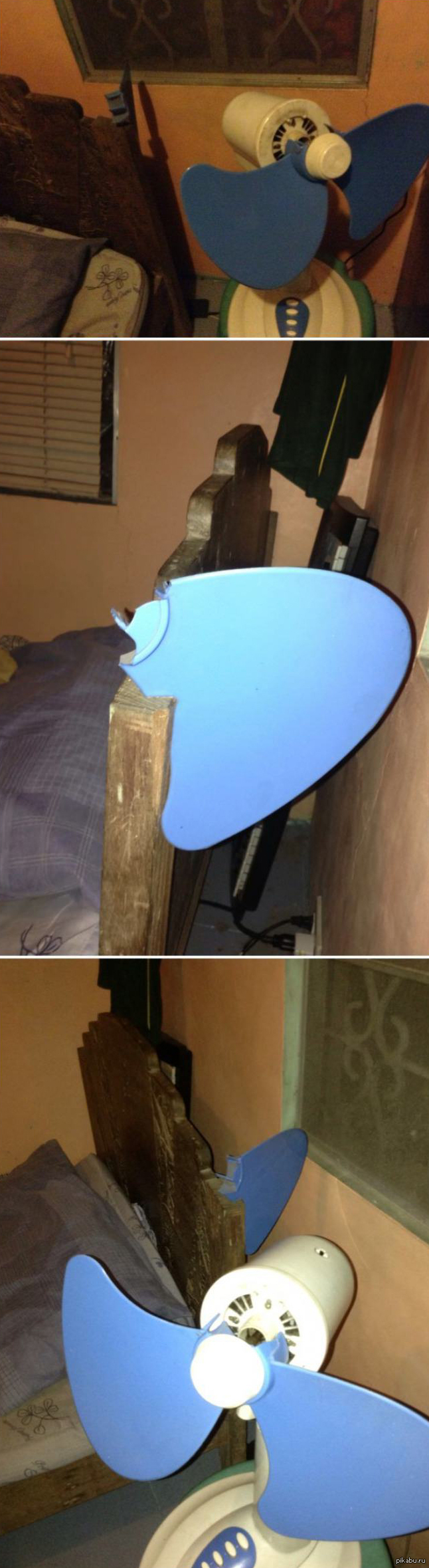 ���� ����� �� ��� ����� ��������� ����������