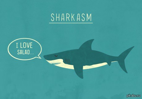 Sharkasm