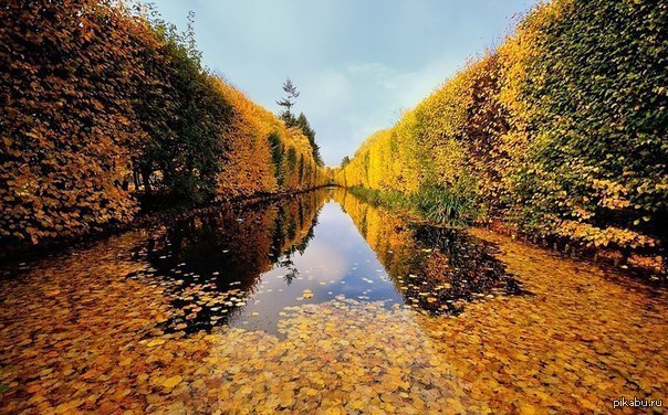 beautiful reflection - Leaves, Water, The park