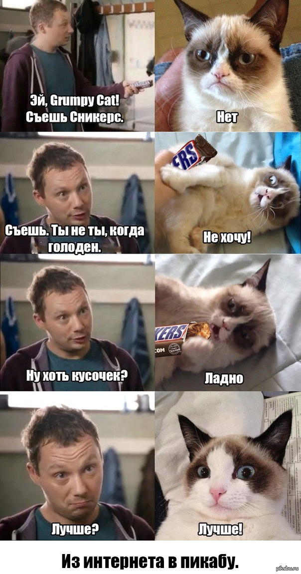 Все сникерс | Пикабу