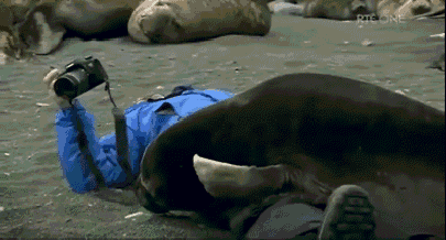 "А ты правда фотограф?"