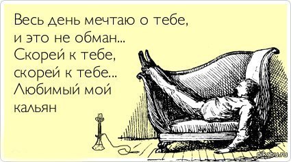 �������������, ���� ������.