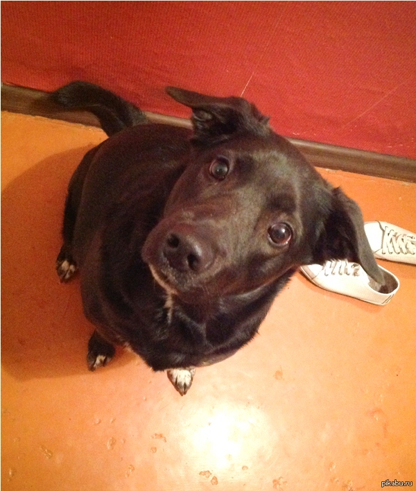 ����� � ����� �� ����...