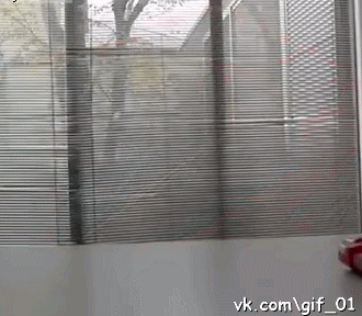      ?) 