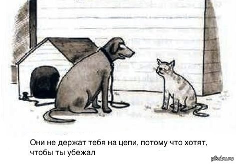 ��� - ����������