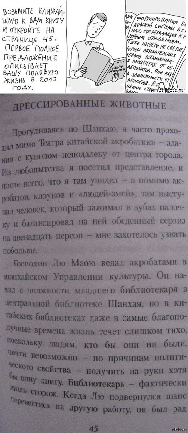 Зоофилы: истории из жизни, советы, новости, юмор и картинки — Лучшее,  страница 28 | Пикабу