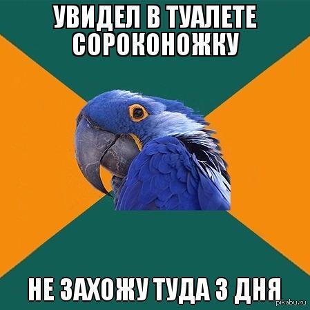 Паранойя | Пикабу