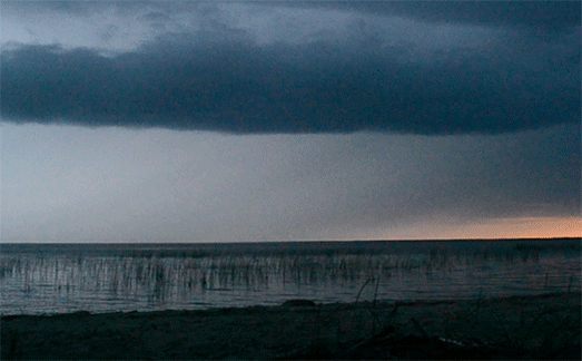 ������ ��� ������.