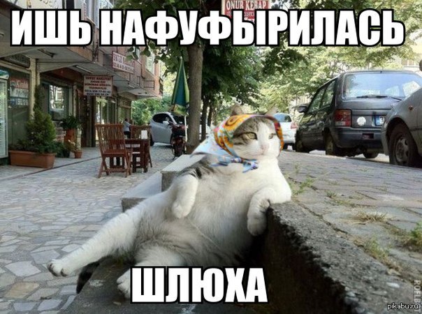 сезон открыт | Пикабу