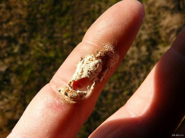 ���� ���������� ����������