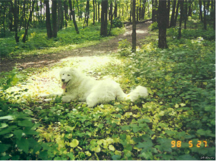 В этом году ровно 8 лет, как тебя не стало... Ровно столько же, сколько ты прожила... Мой белый ангел.