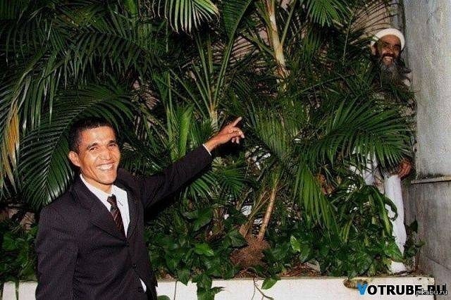 ������� �������