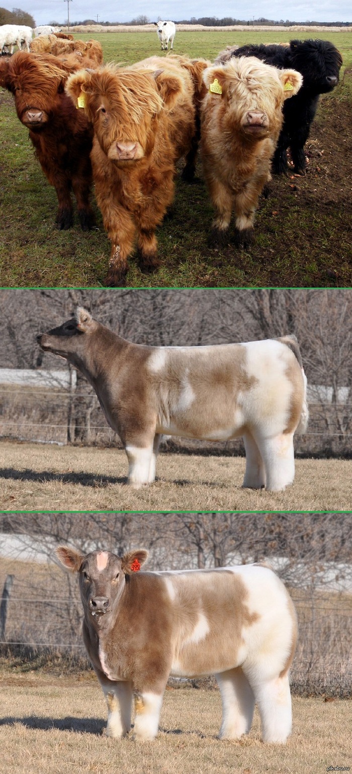  &quot;&quot;  &quot;&quot;,    ...