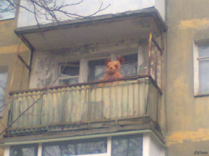 А из нашего окошка виден медвежонок лёшка.