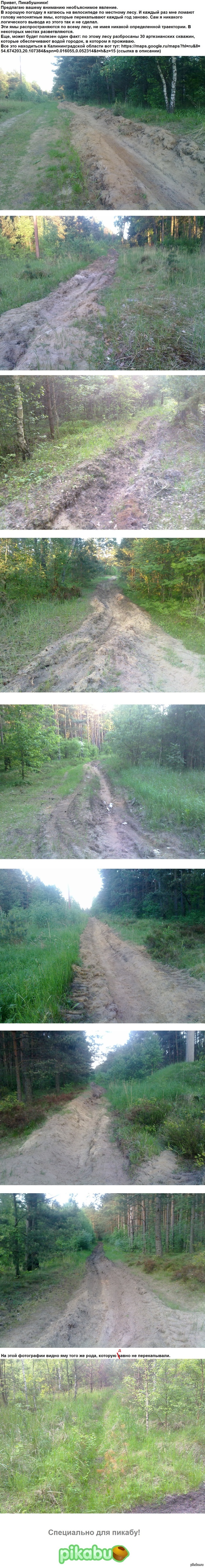 Задачка для пикабушников)