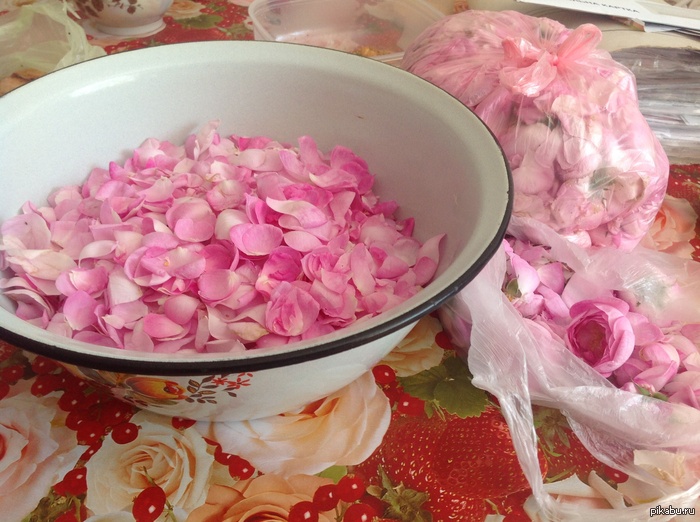 ����� ���� �� �������.