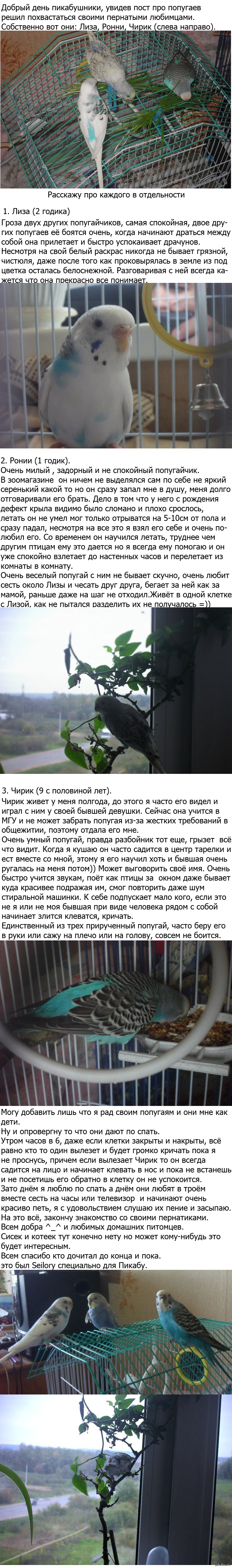 ..   (http://pikabu.ru/story/_1282784 