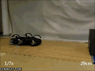 Робот попрыгун