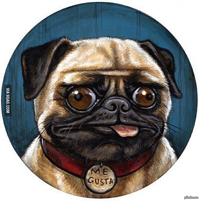 ������ - ���������