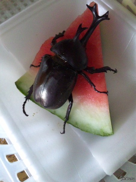 ��� - �� ����������� ��� ������...