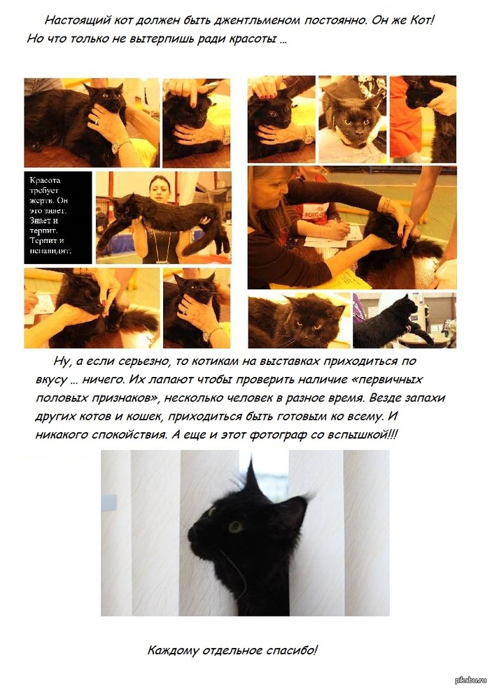 � ������ �������