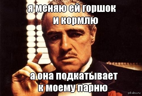 Много заменить. Пуля что меняет в голове. Пуля многое меняет в голове даже если. Пуля очень многое меняет в голове даже если попадает в. Пуля если даже попадает очень многое.