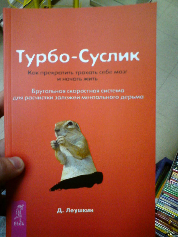 Турбо-суслик | Пикабу