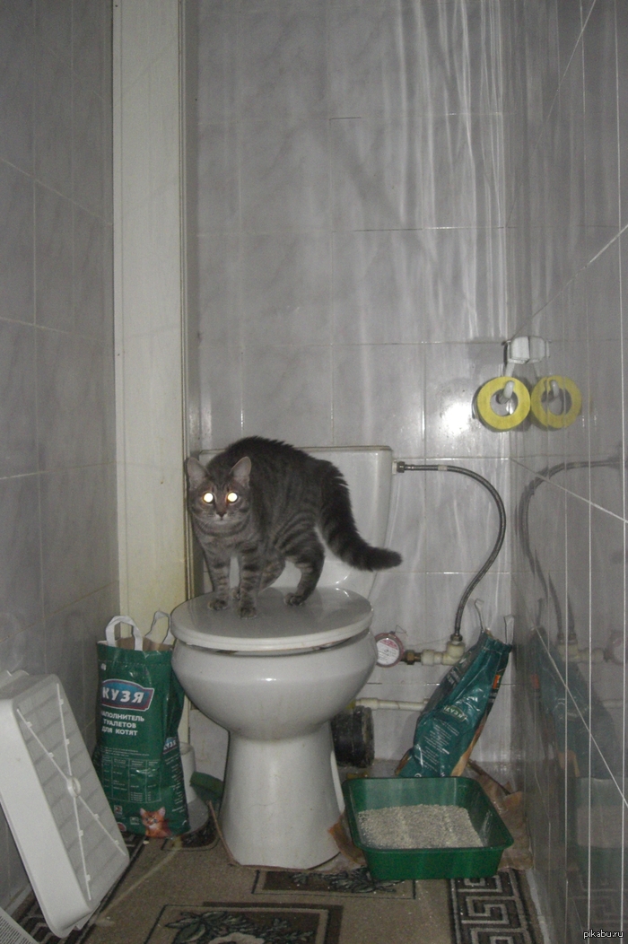 ��� ����� �������� ����� � ����. ����� ������ �������� � ��������� ������� ��������� �� � ������, � ����� �������� ������.